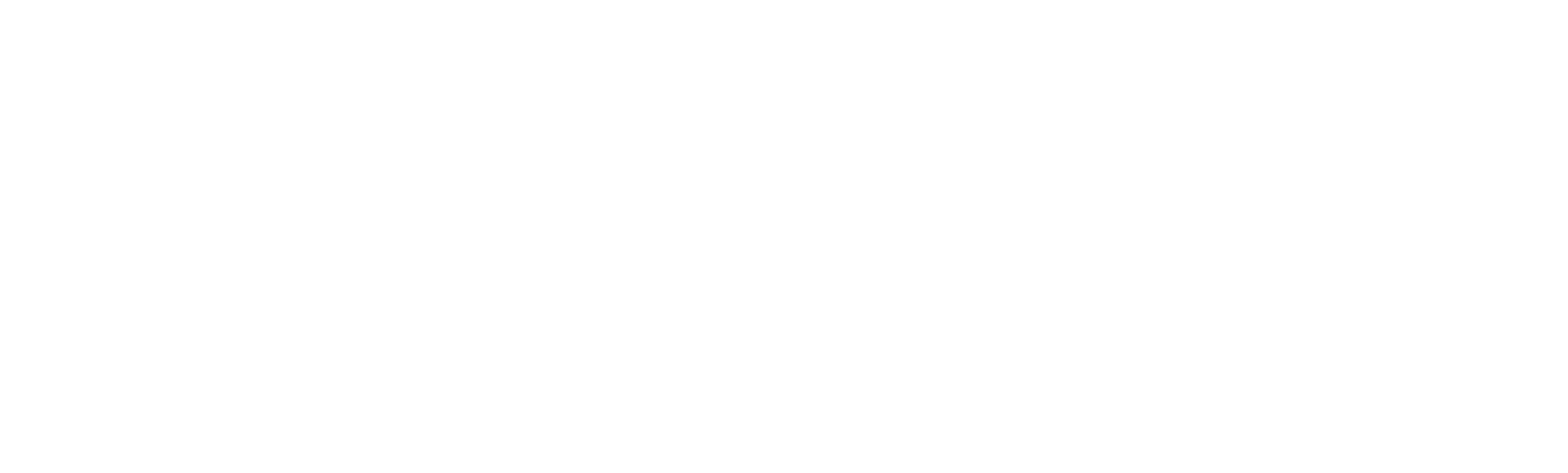 PressPage Logo Home White